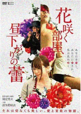 盐雾放映室海报